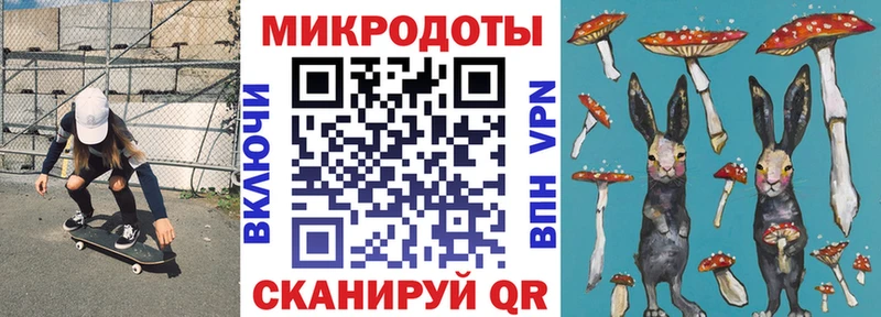 Псилоцибиновые грибы Cubensis  хочу   Хотьково 